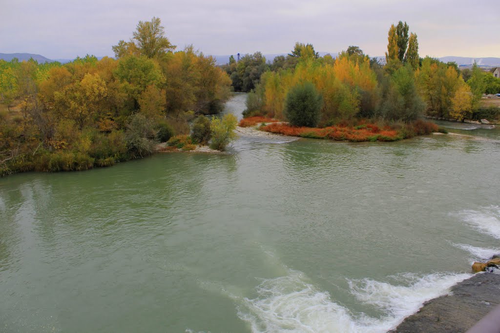 Cáseda (Navarra), río Aragón by JLuis San Agustín