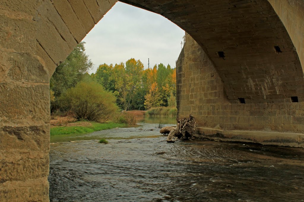 Puente sobre el río Aragón en Cáseda (Navarra) by JLuis San Agustín