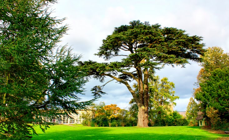 Blaise Castle Grounds by les watson