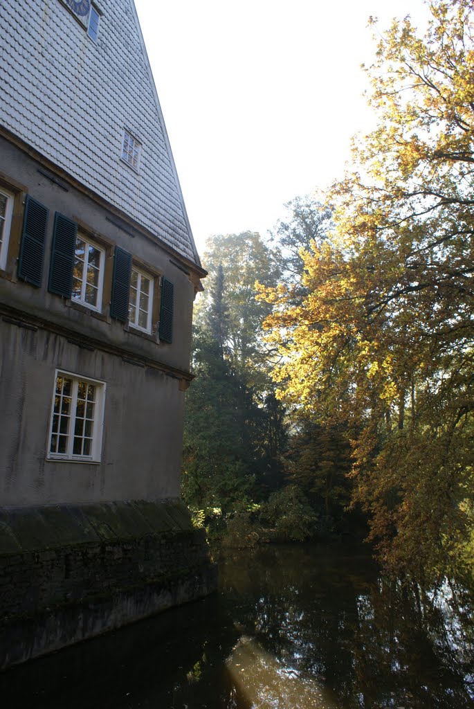 Burg Dinklage by Burg Dinklage