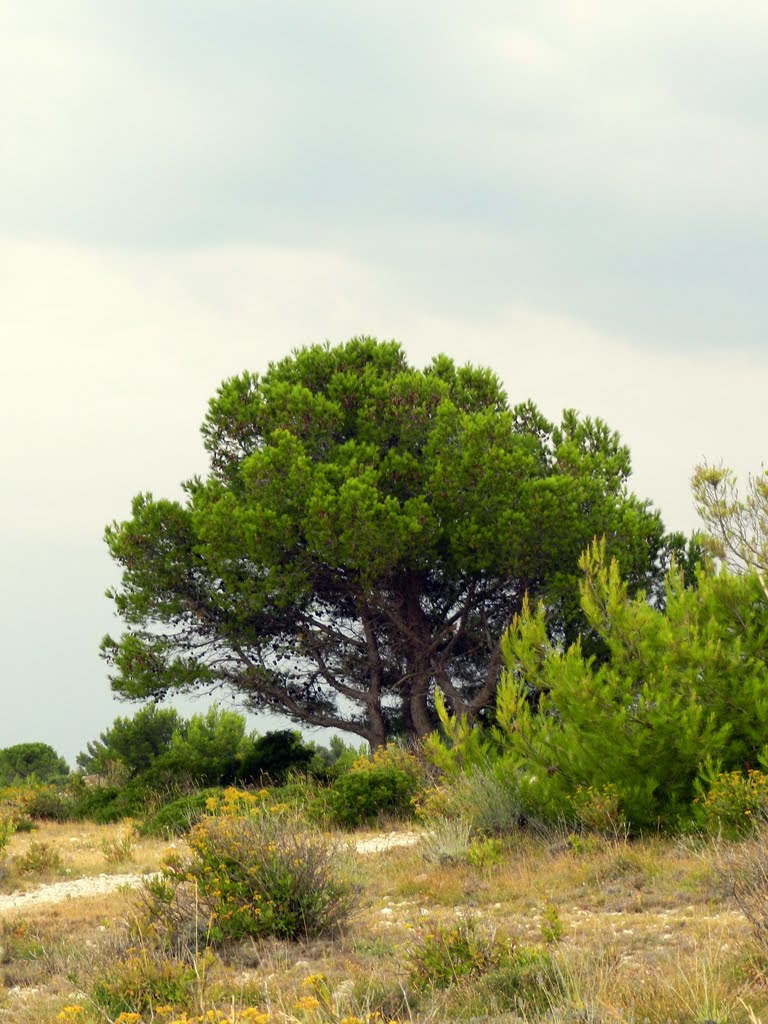 Promenade Leucate plage - Franqui by Ivan Moerman