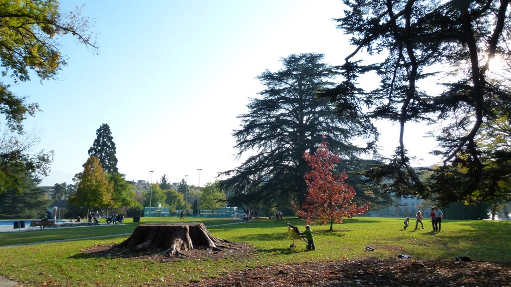 Parc Trembley by Magda GHALI