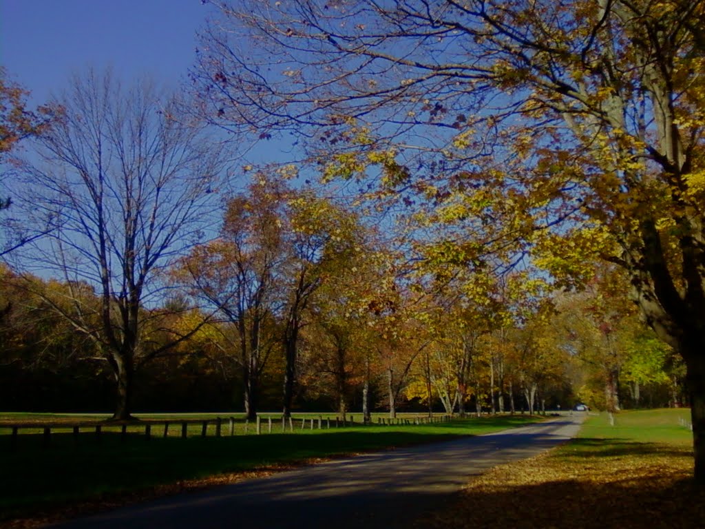 Clearfork Lake Park Autumn by DB Picking