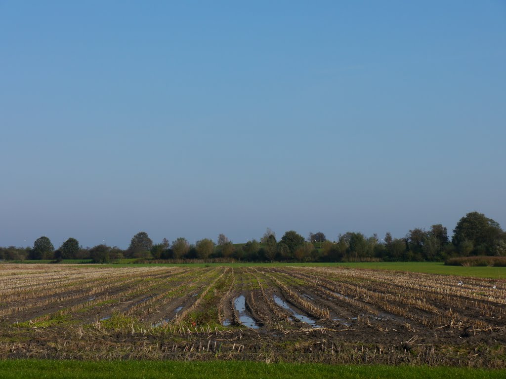 Acres opposite Zuiderzeepad by Pierre Pattipeilohy