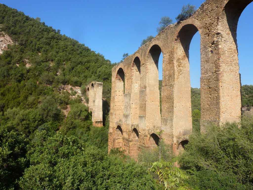 Aqueduc Maurétanien de Cherchell by fahed