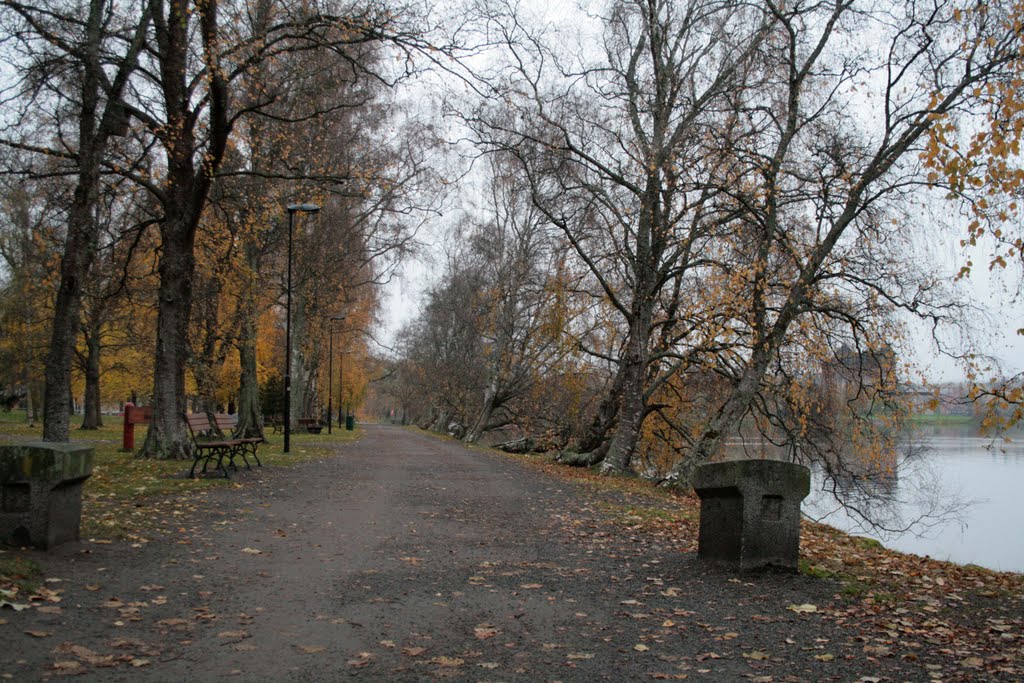 Hämeenlinna, Center, Lake Vanajavesi, Castle, 23 October 2011 by Johanan Järvinen