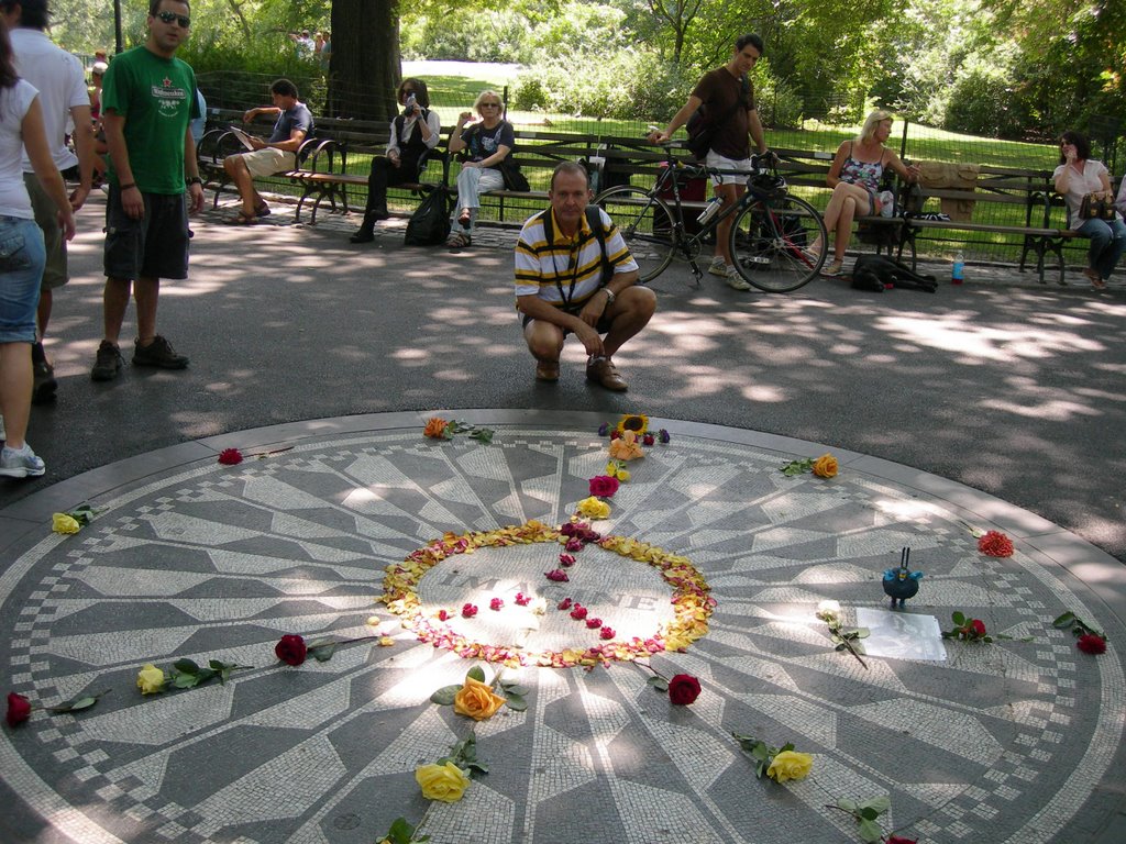 STRAWBERRY FIELDS N.Y. by mitus