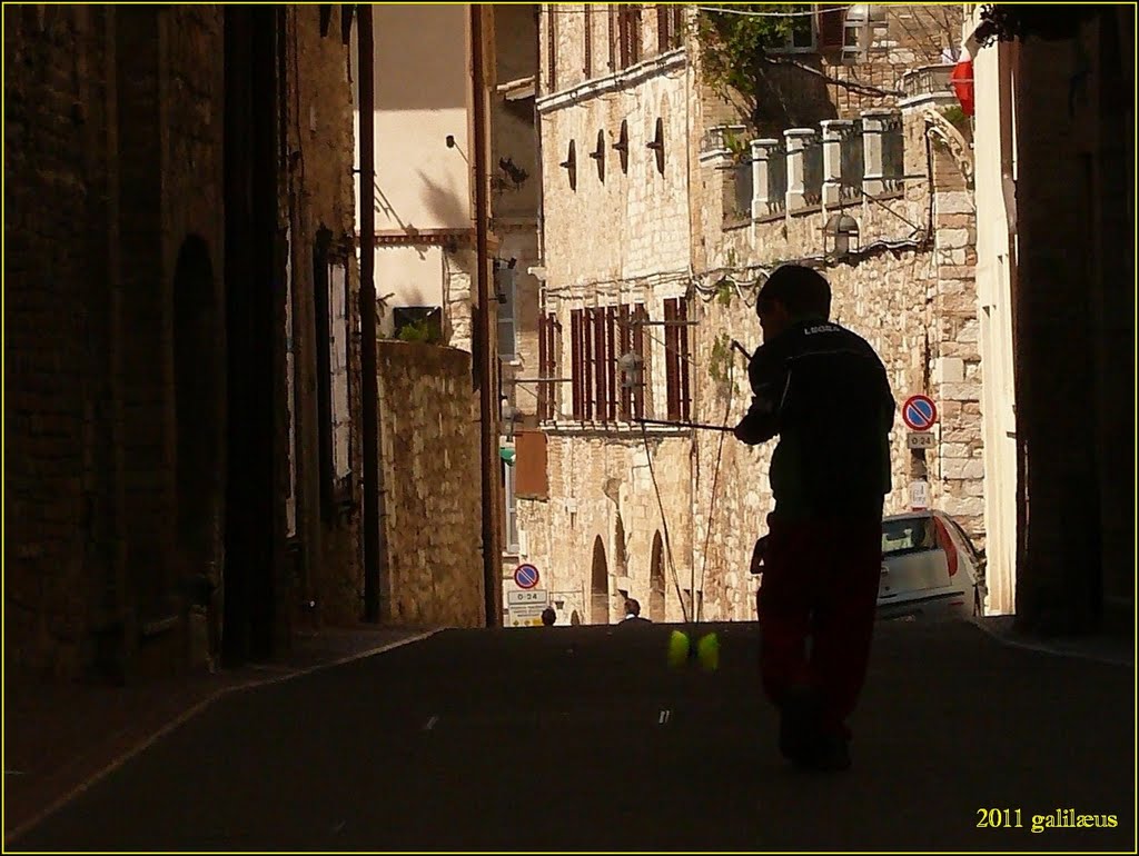 Assisi: busker in erba by ©galilaeus