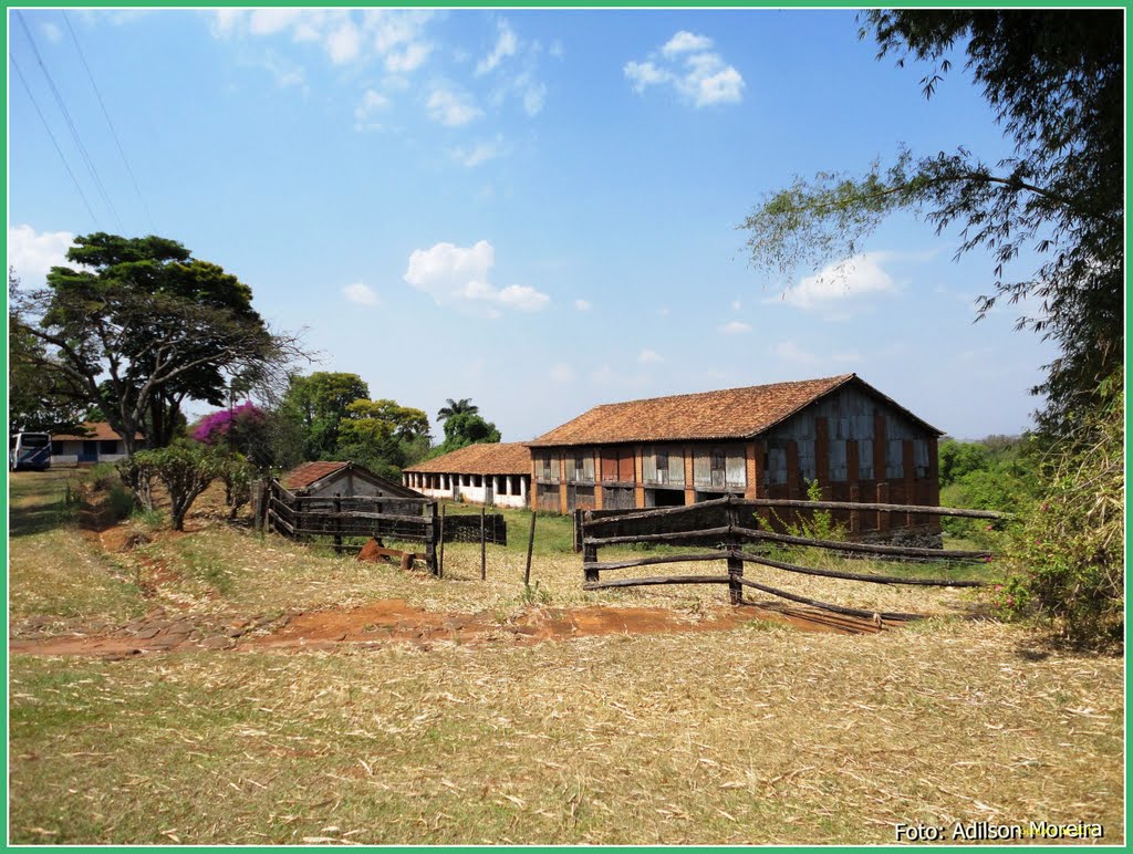 Fazenda Ibicaba - Foto: Adilson Moreira by adilson moreira