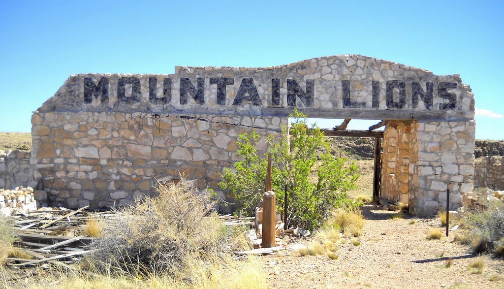 Two Guns Zoo ruins, Historic Route 66, Two Guns, AZ by Mean Mister Mustard