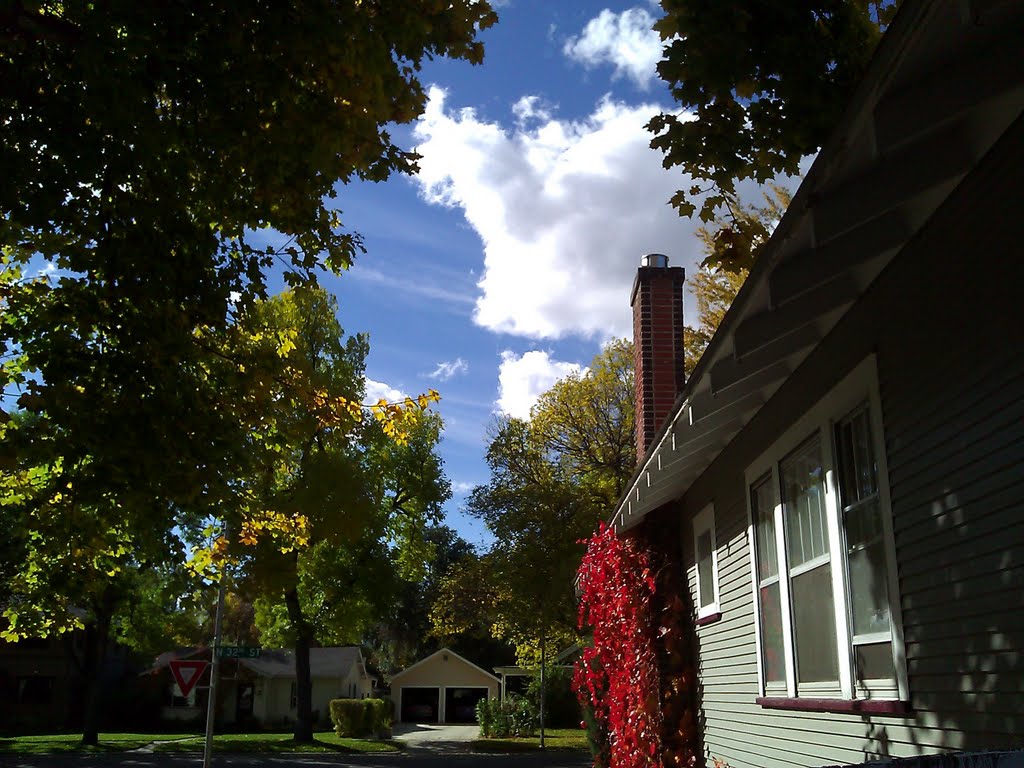 Fall colors on a Sunday afternoon. by Jeff Hill