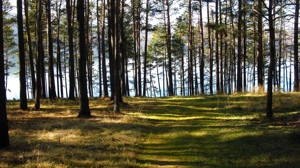 Irkutsky District, Irkutsk Oblast, Russia by roditel