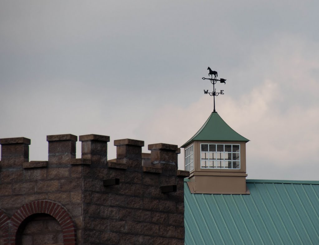 Weather Vane at Pennsylvania Renaissance Faire by mklinchin