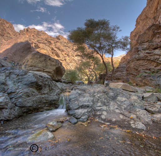 Darabad river رودخانه دارآباد by Mohsen Dayani ***