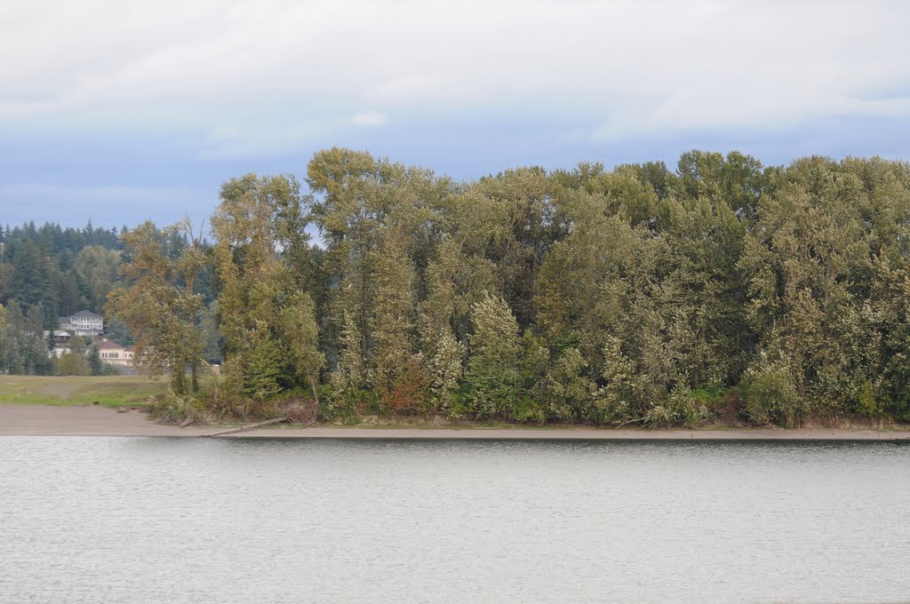 The ripple on the Columbia river by Ibaragino Kumasan