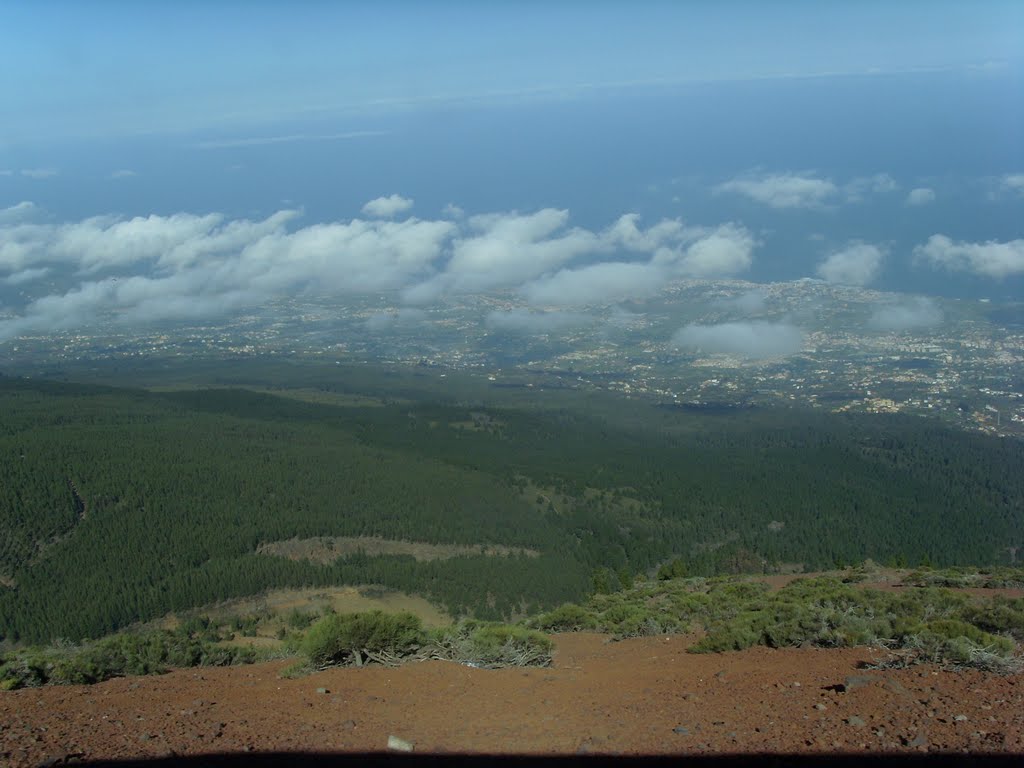 La Orotava-Tal mit Puerto de la Cruz aus ca. 1200 m Höhe by Hansi Müller