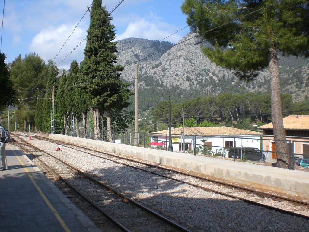 Tren de soller by J. Luis Rivera