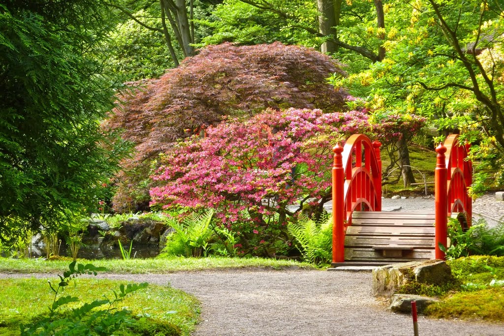 Japanese Garden, Park Clingendael, The Hague, Netherlands (#8) by Erik Eshuis