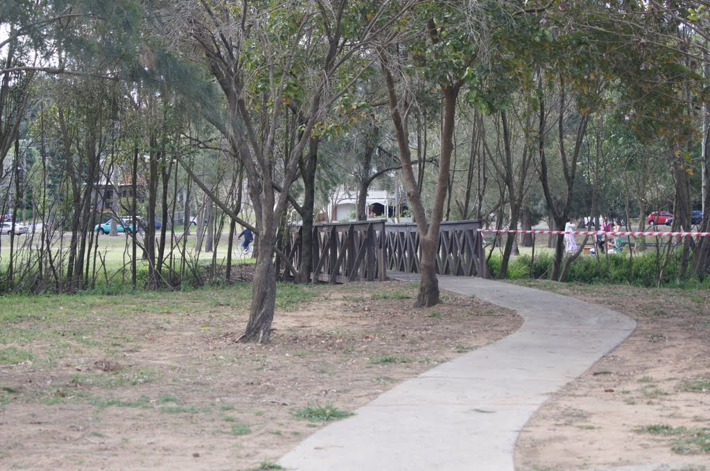 Walking Path and Bridge at Perrin Park at Taringa by robsonap