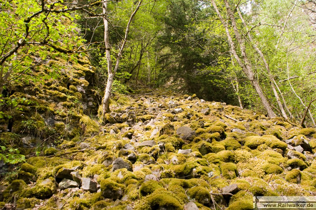 Diese Gröllfeld klettere ich Berg auf by Railwalker