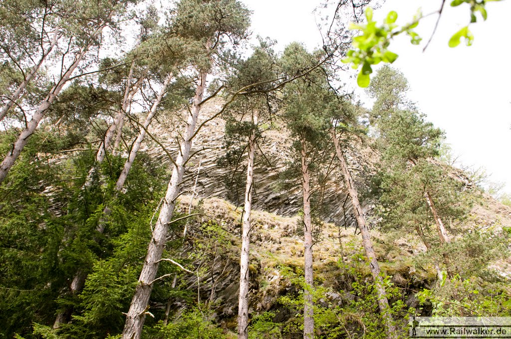 Hinter den Bäumen ist der Feld sichbar, von dem der Basalt herausgebrochen wurde by Railwalker