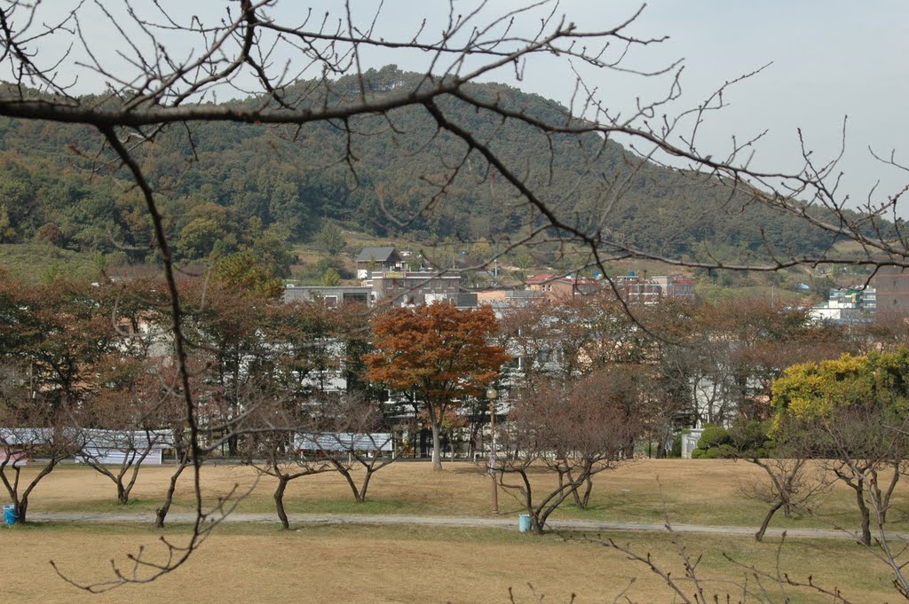 Soon Chun Hyang University 순천향대학교 by plumgarden