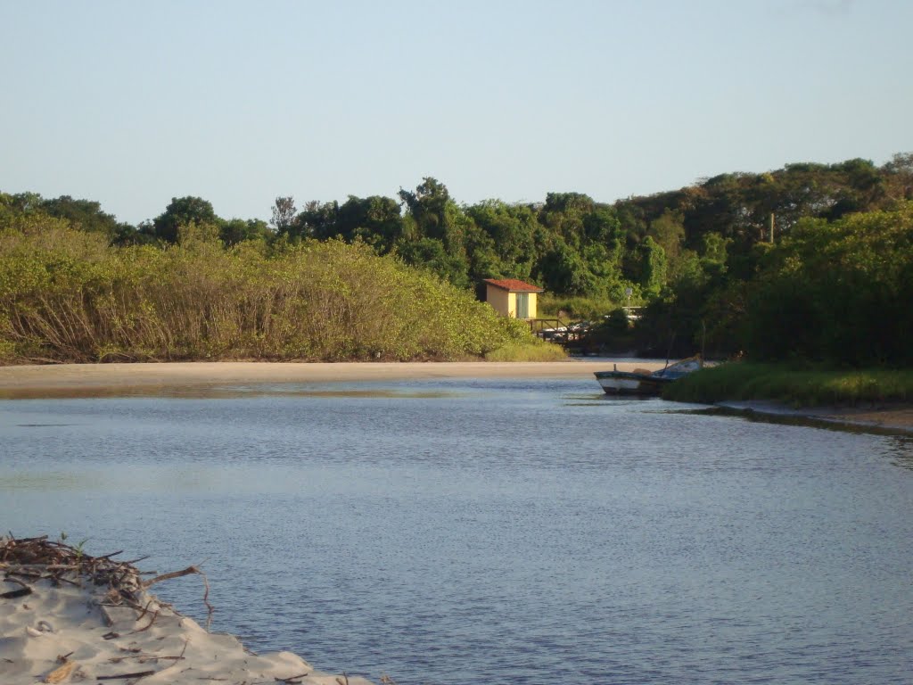 Rio Perequê, Ilha do Cardoso, SP by Érika R.O.