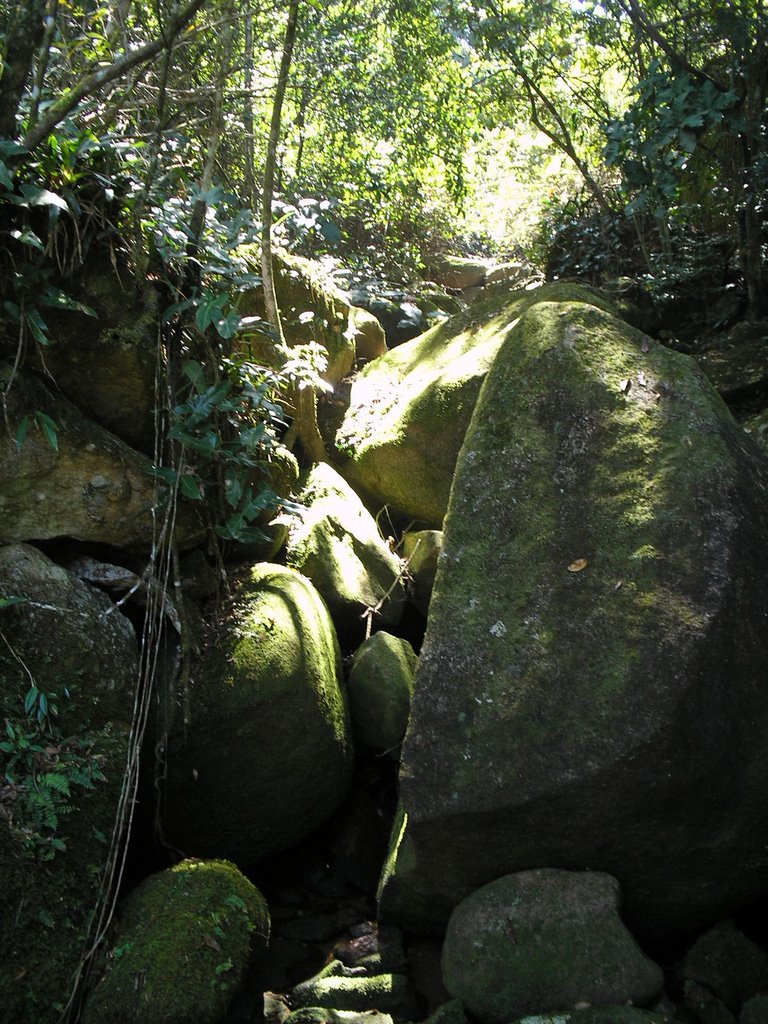 Rochas - Ilha Grande - Brasil by Marcelo Parise Petaz…