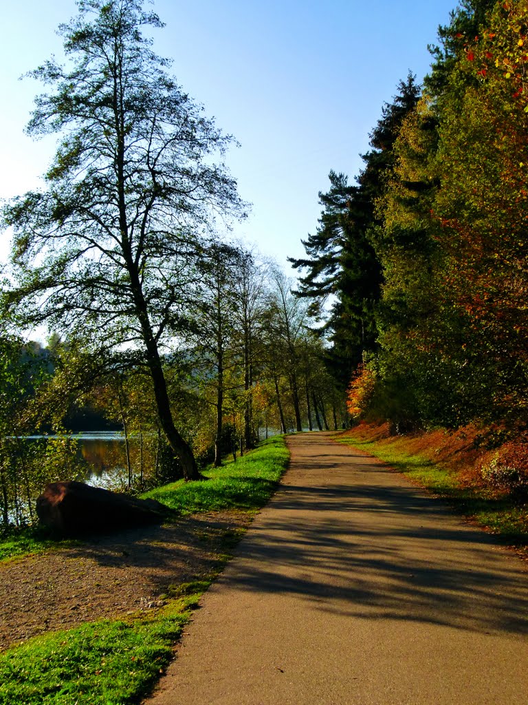 The Walk Around The Nagold Dam by Alexander Reuss