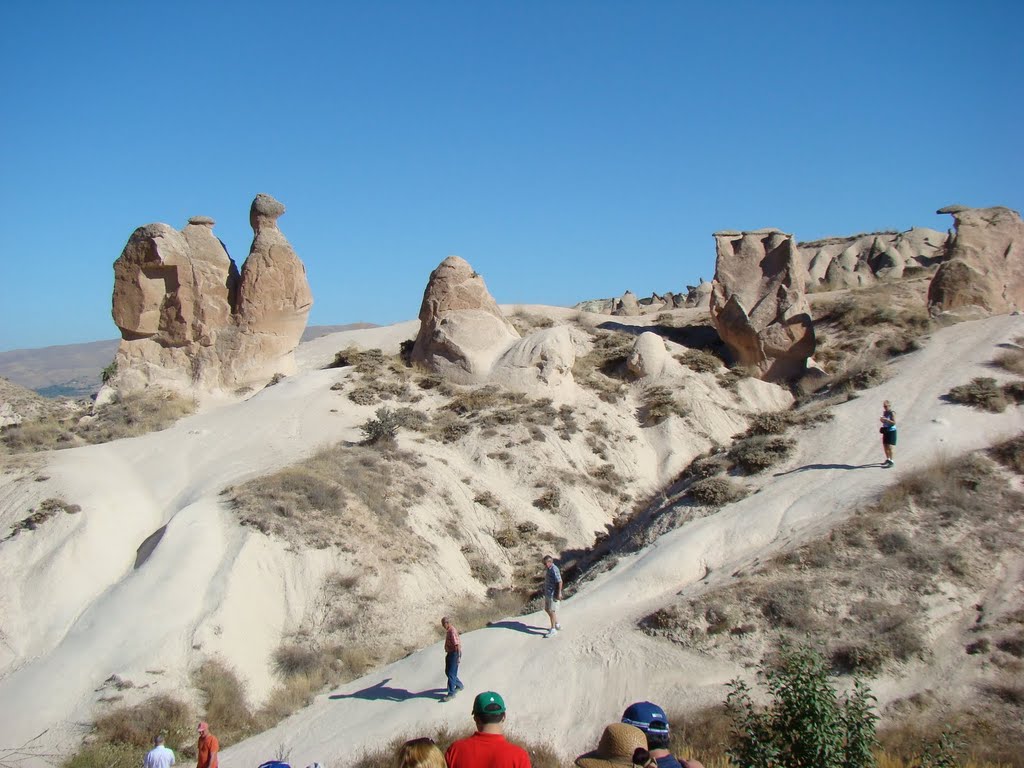 12-09-2011 Cappadoce, vallée de Devrent, le chameau by Frédéric FATH