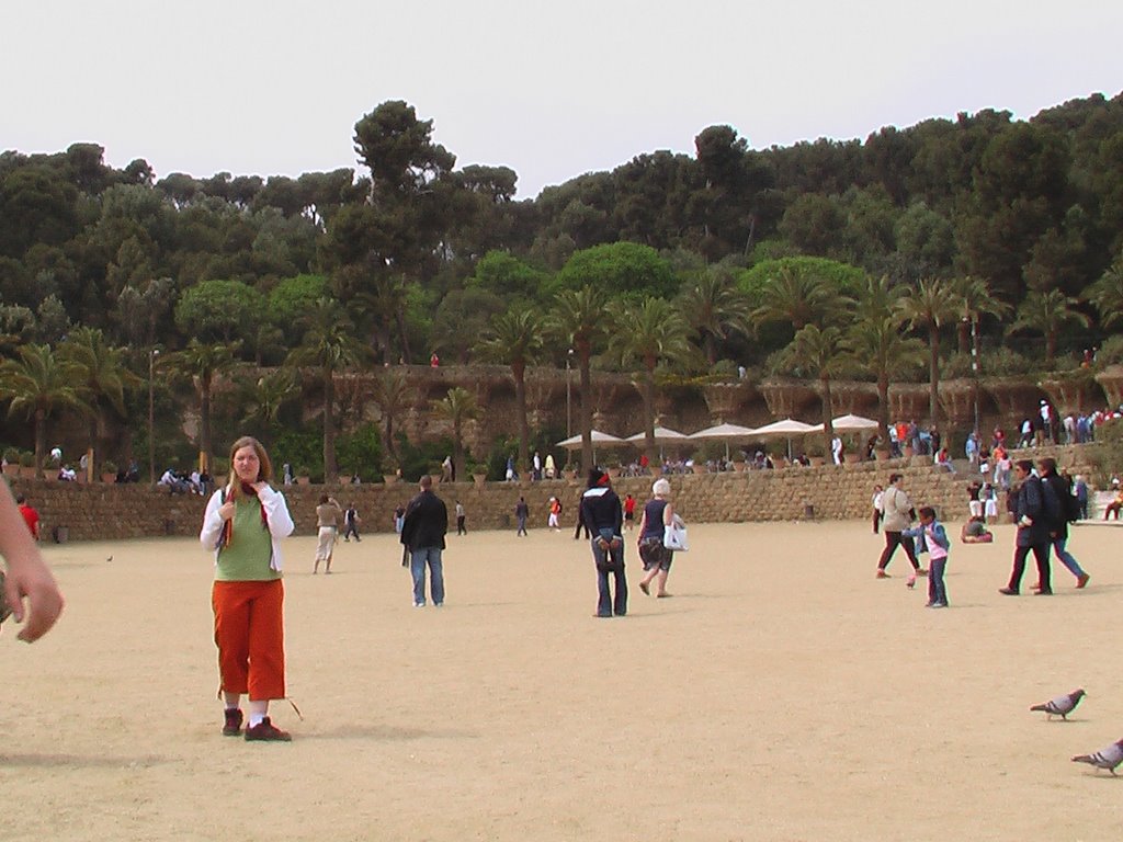 Parc Güell by Jelmerr