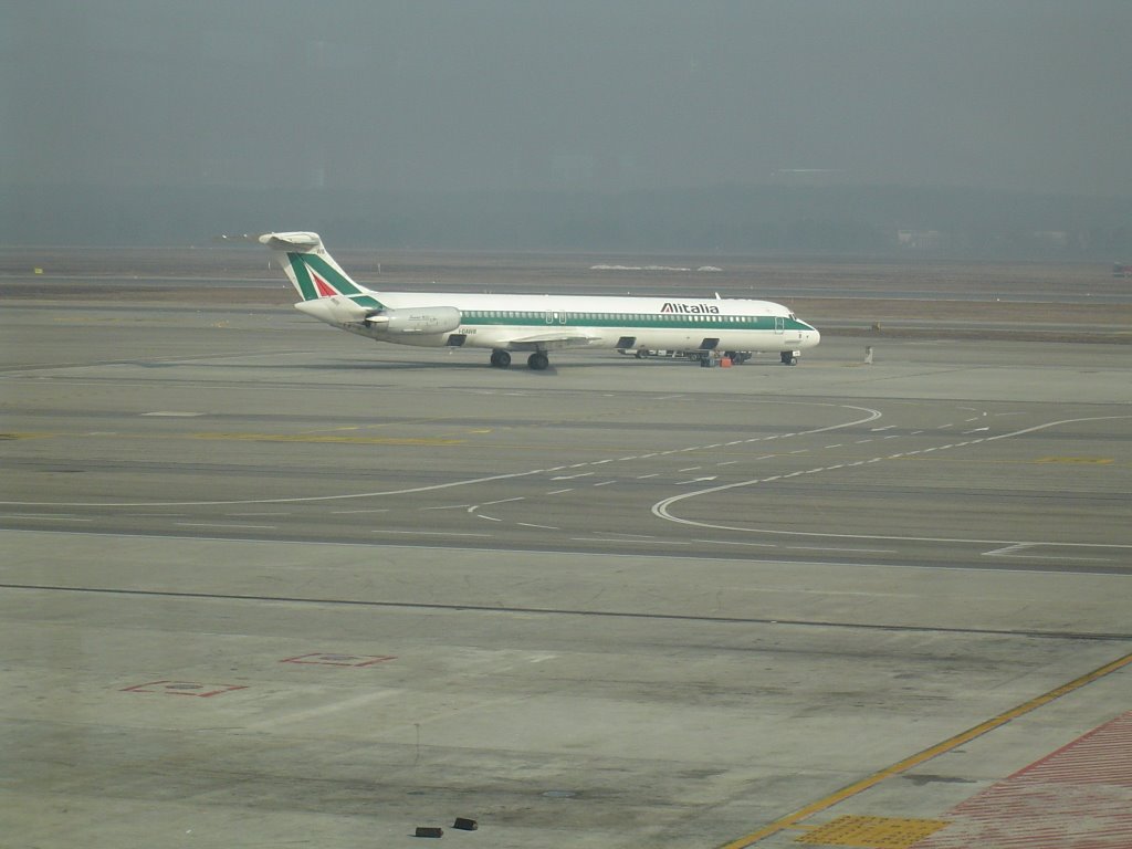 Alitalia Airline at Malpensa Airport Milan by Gaetano Vaccaro