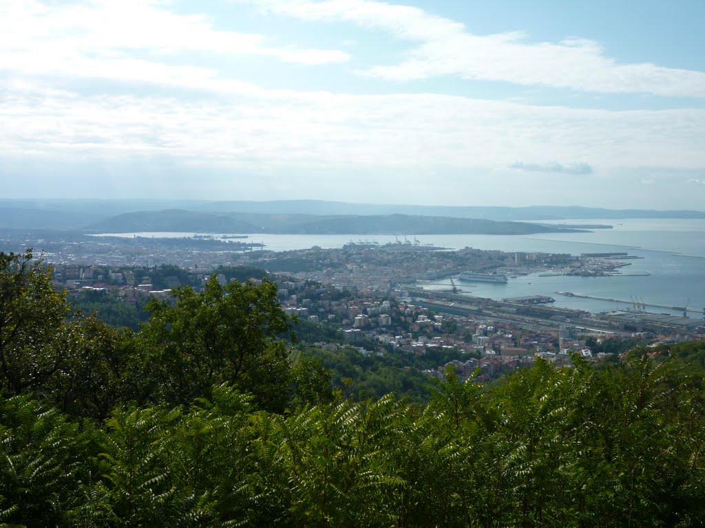 Trieste dall'obelisco di Opicina by maxcup