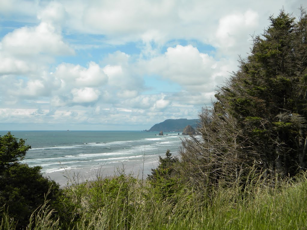 Oregon Coast Along Highway 101 by rutschke.jr