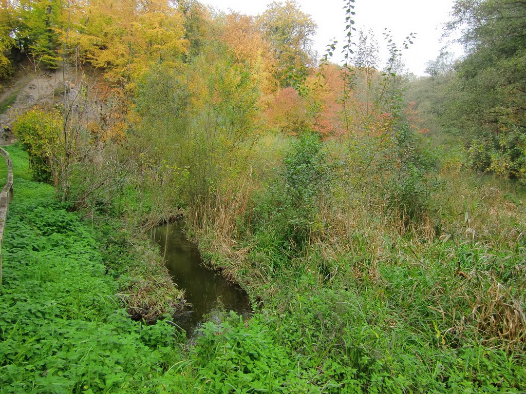 Die Bäk im Kupfermühlental by Dr. Friedemann Roeßler