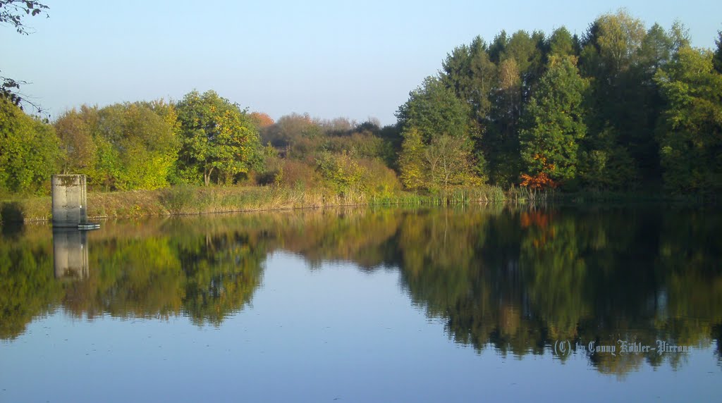 Kohlwaldweiher by Ko Kö