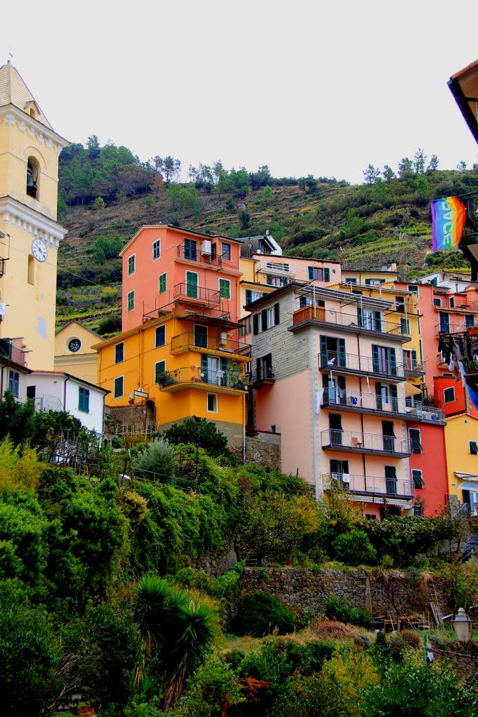 Vernazza by suds49