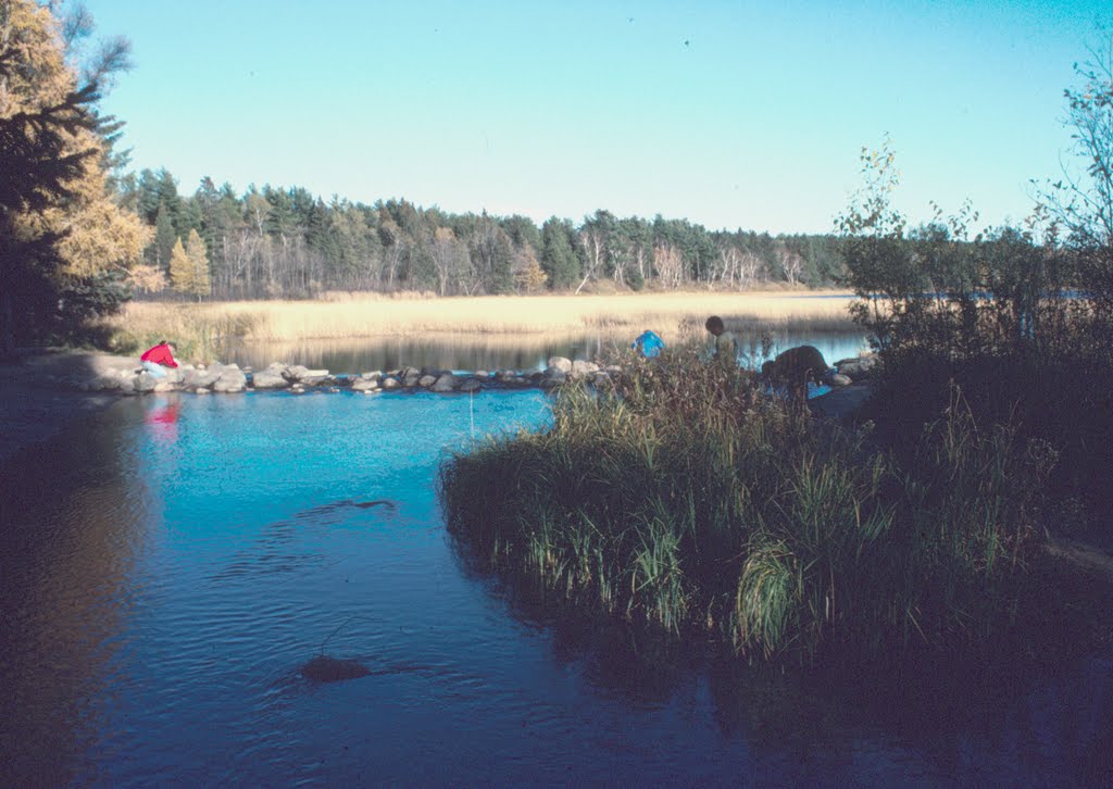 Outlet from Lake Itasca, 1989 by John Hains