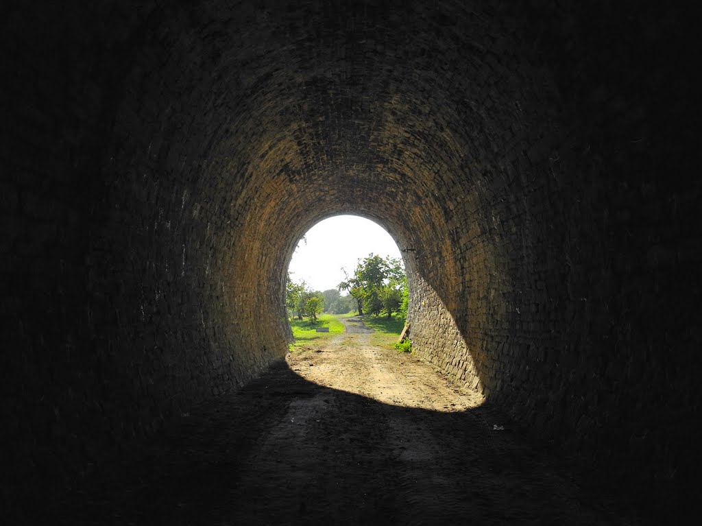 Slavíčský tunel - Severní dráha císaře Ferdinanda, Czech Republic by Stare Mosty