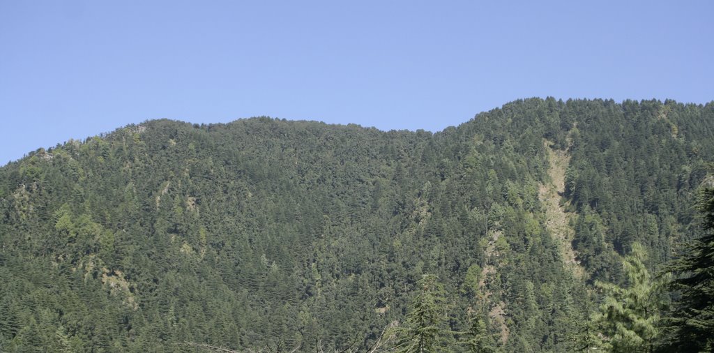 Mountain Vistas from the Village of McLeod Ganj by Nomad