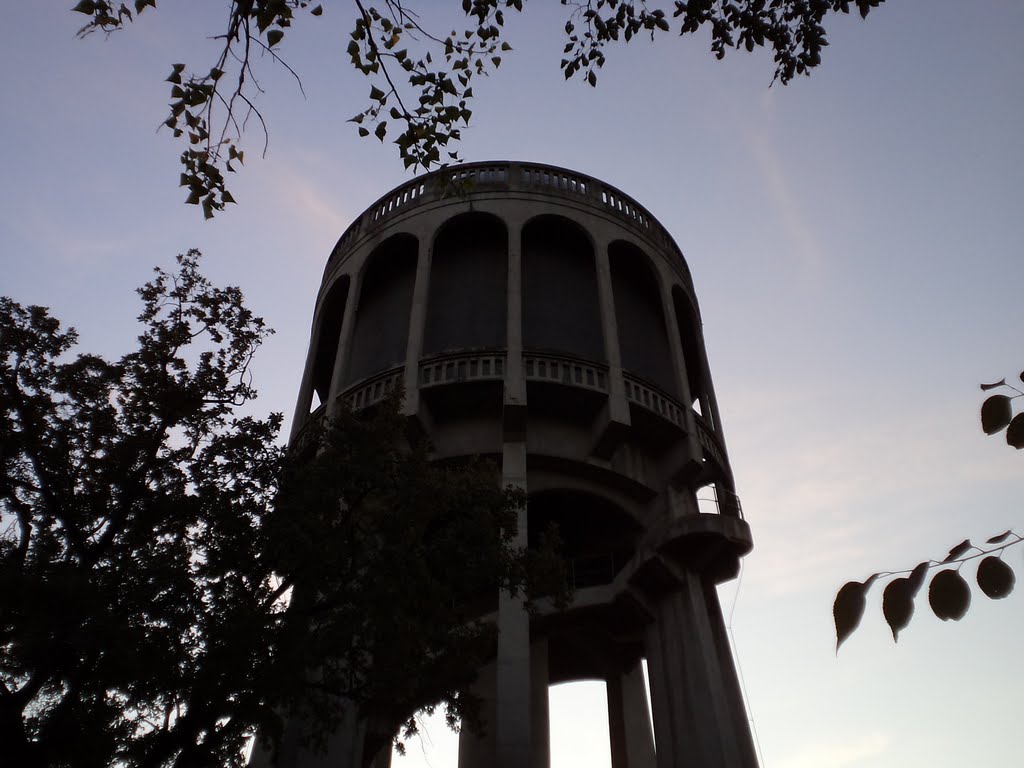 Watertower - Debrecen - Big Forest by Son of encouragement