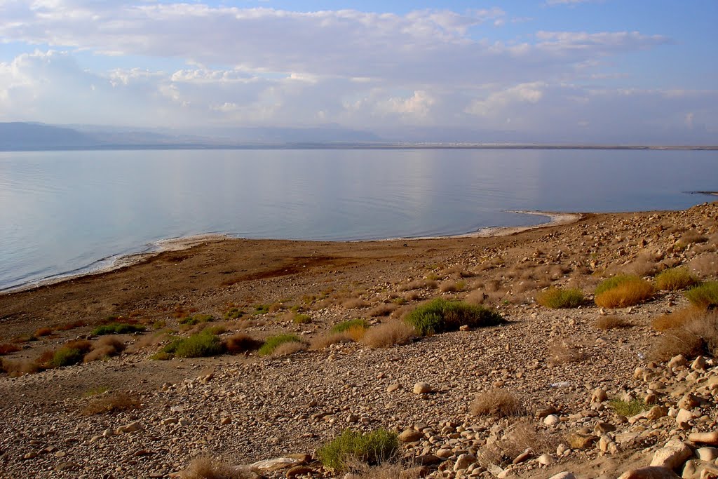 View of the Dead Sea by Horta F