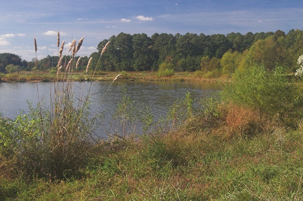 Lake Crabtree by Jan Solar