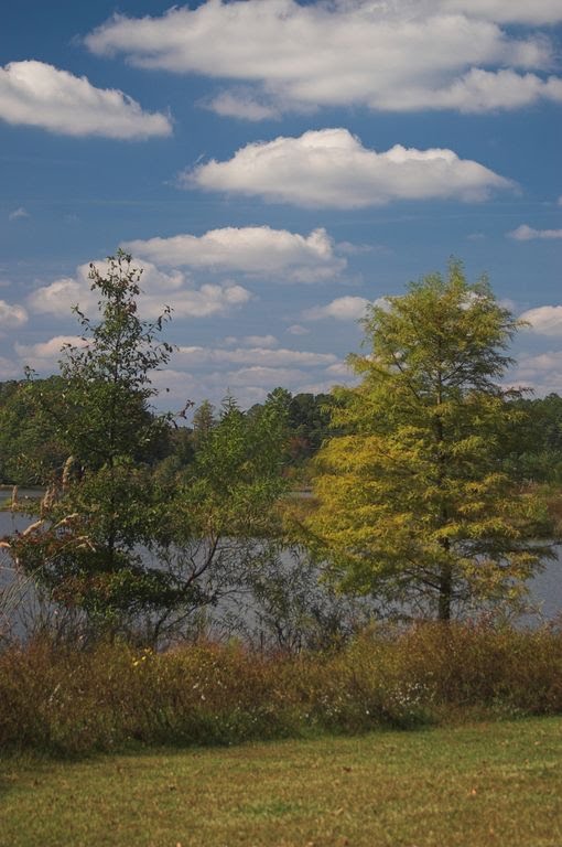 Lake Crabtree by Jan Solar