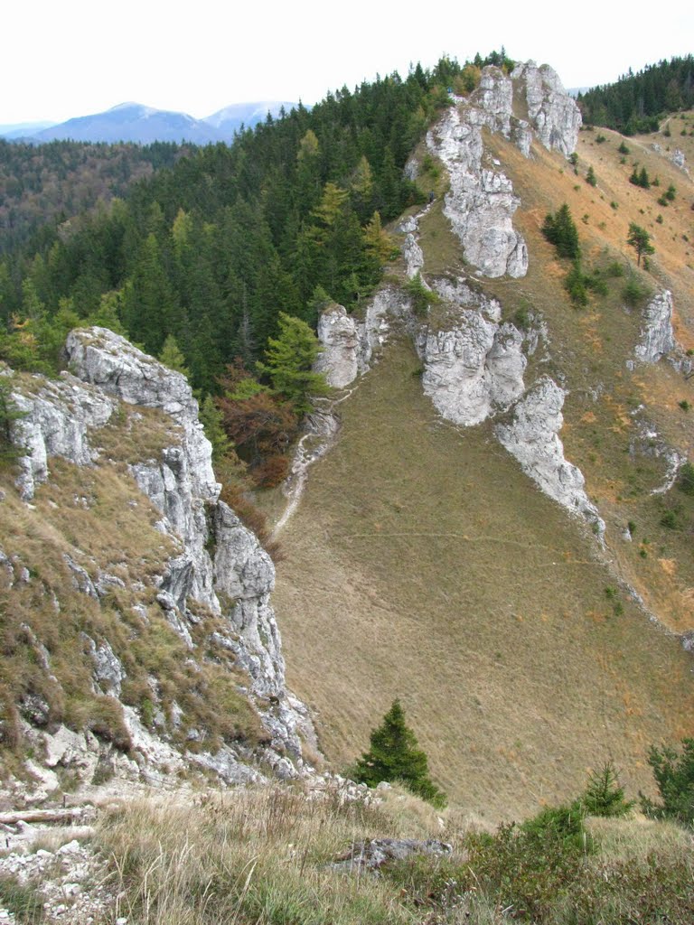 Zadná Ostrá by kolobezka