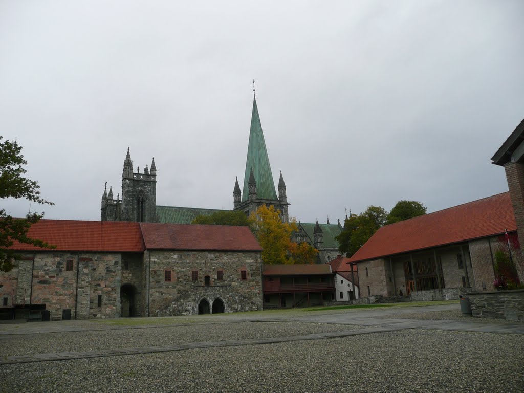 Trondheim by Alex Shatravka