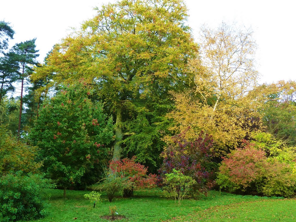 Thorp Perrow by Judith,