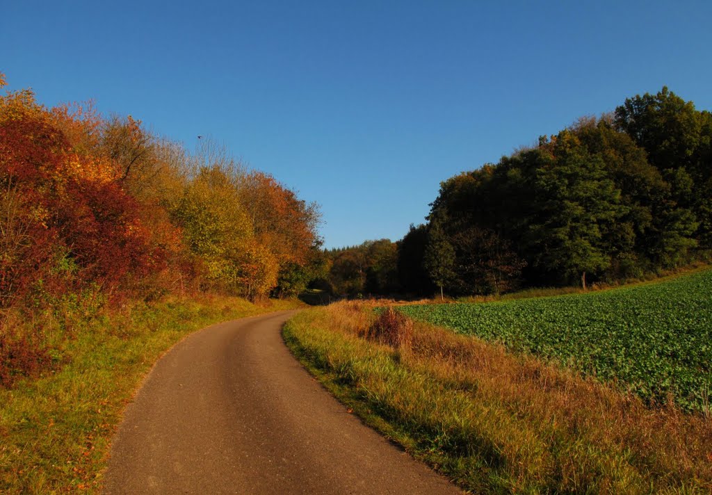 Im Taubental by H. Beierstettel