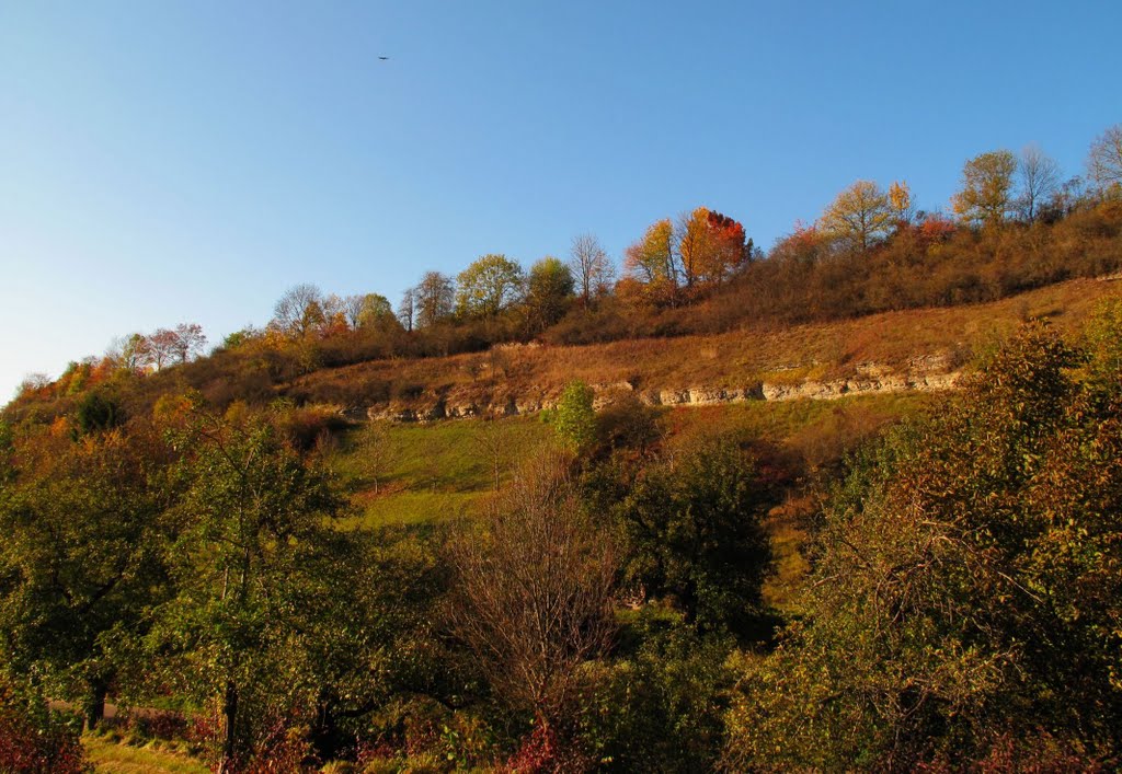 Der Laurentiusberg vom Taubental aus by H. Beierstettel