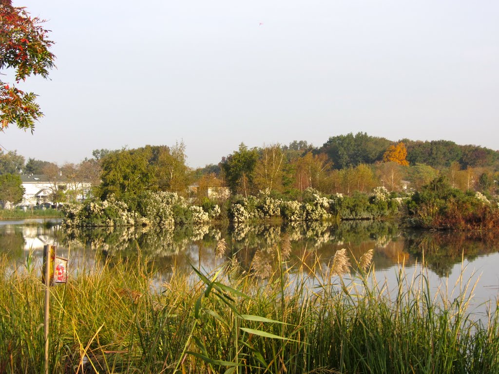 Mill Creek Marsh by Adam Elmquist